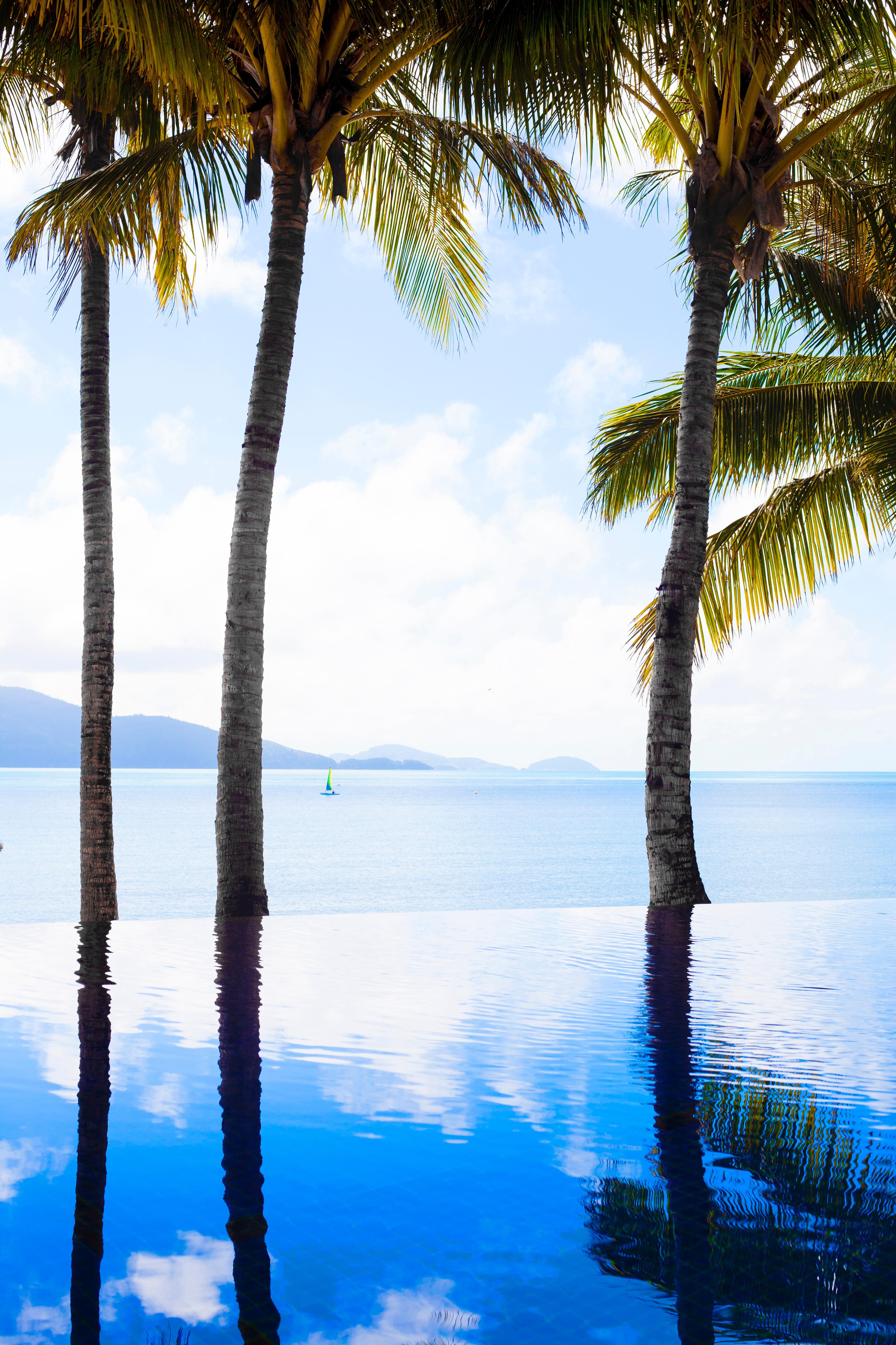 Beach Club (Adults Only) Hamilton Island Luaran gambar