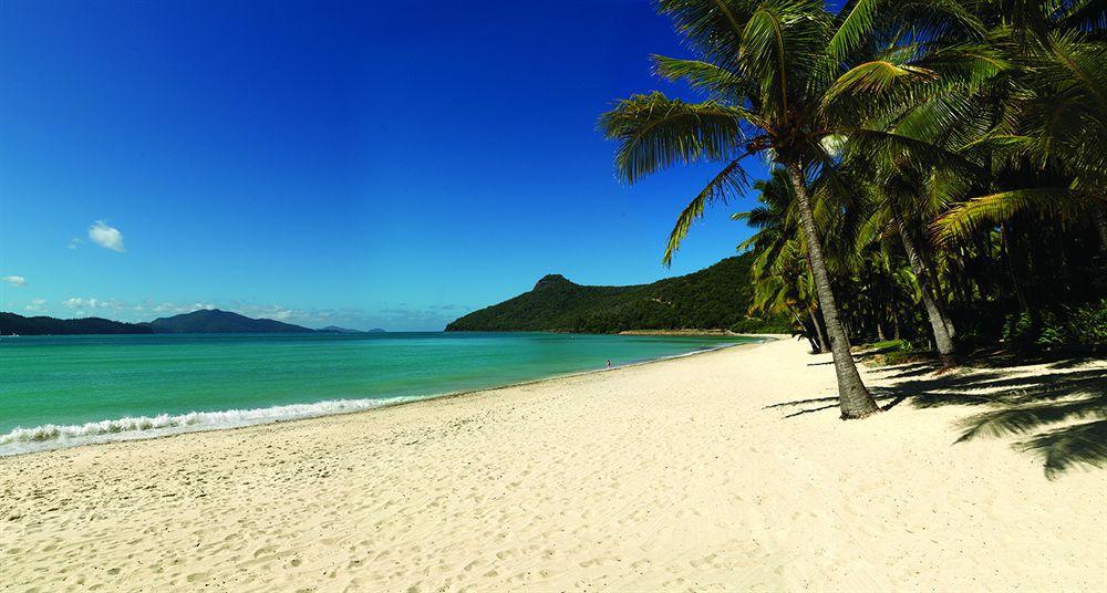 Beach Club (Adults Only) Hamilton Island Luaran gambar